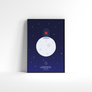 Il Piccolo Principe Poster - immagine 2